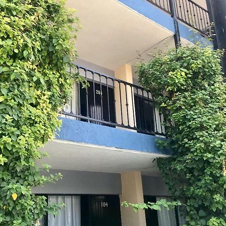 Hotel Nuevo Vallarta サポパン エクステリア 写真
